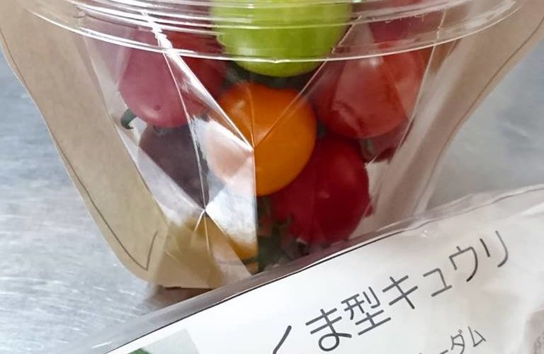 カラフルなトマトとくまさんキュウリ