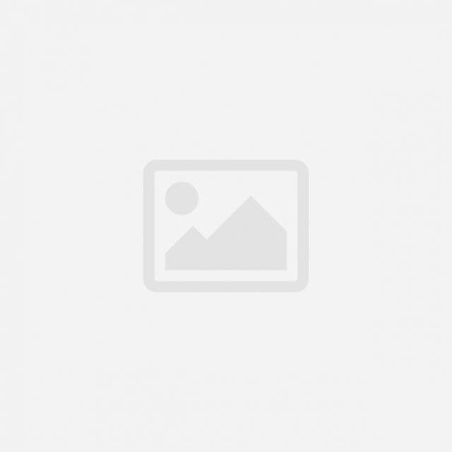 Birthday Cake Santa【ポム店頭・Cake Box 受取】