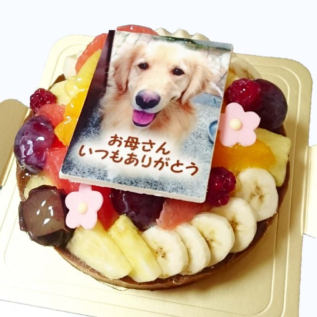 写真ケーキ　季節のフルーツタルト【ポム店頭・Cake Box 受取】