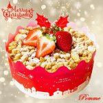 【50個限定】苺のレアチーズケーキ クリスマスケーキ(12月20~25日のみ)