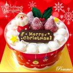 【200個限定】苺のデコレーションケーキ クリスマスケーキ(12月20~25日のみ)
